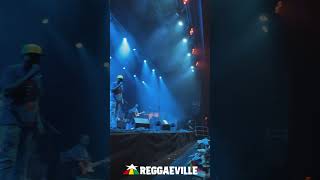 Barrington Levy  Overjam Festival 2023 [upl. by Woodman]