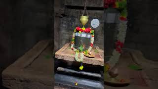 papanasi temple alampur harharmahadev shivaya god madhav blessings om [upl. by Tnecnivleahcim788]