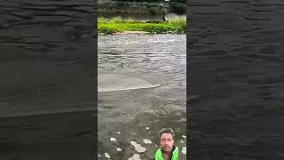 fishing challenge fishing videos new 2024 fish fishing bassfishing [upl. by Speroni]