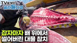 이 거대한 대물 황다랑어는 우리 돈 24만 원에 일본으로 수출됩니다｜한 달 월급 18만 원 인도네시아 참치 어부｜술라웨시 바다｜인간과 바다｜골라듄다큐 [upl. by Anirret]