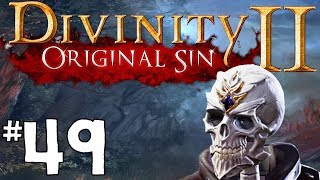 Divinity Original Sin 2  Lets Play Episode 49 Dogs or Cats [upl. by Raffaj]