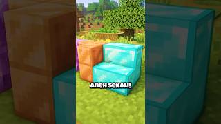 Block Paling ILLEGAL Di Minecraft [upl. by Rivalee]