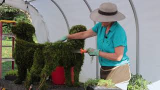 Topiary Design with Marion Mullan  Baltimore MD [upl. by Rofotsirk]