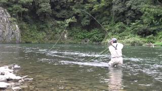 Various Skagit Casts River left [upl. by Anavas444]