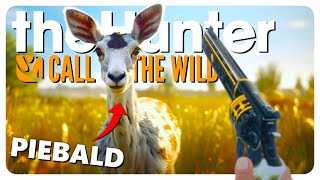 I hunted EVERY DEER species in the game DONT TRY THIS  theHunter Call of the Wild [upl. by Day]