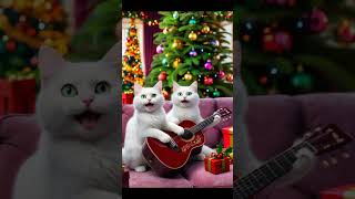 Tum ha Kar de Meri moto Rakhu raji raji re song cute cat cutecat punjabisong youtubeshorts [upl. by Ahsem]