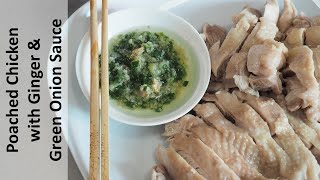 Poached Chicken with Ginger amp Spring Onion Sauce  Easy Recipes for Busy People [upl. by Peltier]