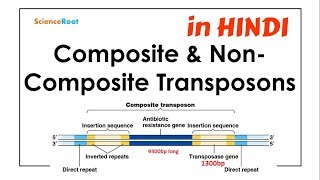 Composite amp NonComposite Transposons  ScienceRoot [upl. by Amliv]