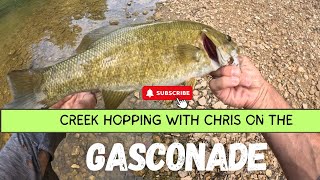 Creek Hopping  Gasconade  Fishing Video [upl. by Oag372]