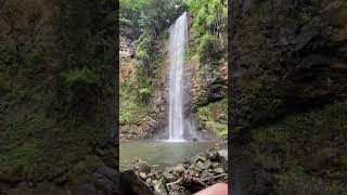 Kauai Secret Waterfall Kayak and Hike kauai hawaii travel vacation [upl. by Eiramaliehs]