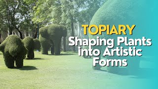 Topiary Shaping Plants into Artistic Forms [upl. by Milan]