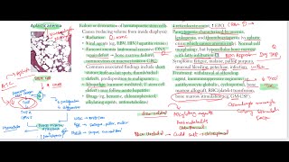 Aplastic anemia haematology 46 First Aid USMLE Step 1 in UrduHindi [upl. by Xino755]