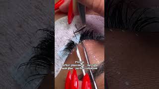 Lash placement lashing lashes lashartist [upl. by Verdie]