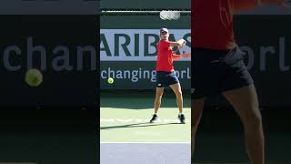 Tommy Paul Forehand slowmotion shorts slowmotion [upl. by Solegnave123]