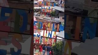 Animales RESCATADOS y un BARRIO transformado  VLOG Medellín [upl. by Benia350]