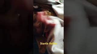 The startle reflex in newborns newborn infant startle mororeflex babyboy [upl. by Nnayram548]