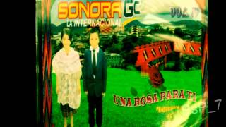 Marimba Sonora GC vol19  Un Beso de Despedida [upl. by Rehpotsrhc887]