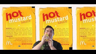 Mc Donalds Hot Mustard Recipe [upl. by Peppie700]