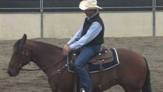 Horse Training for the Stop amp Back Up  Basic training to sliding stops for reining amp cutting [upl. by Augy]