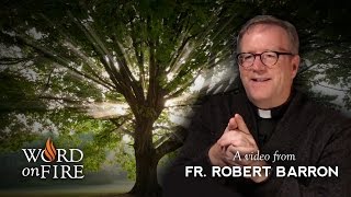 Bishop Barron on The Genealogy of Jesus [upl. by Llerryt715]