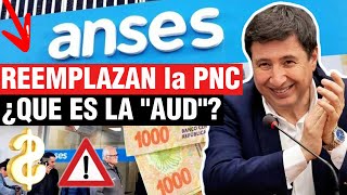 👉Urgente Jubilados❗ Reemplazarían la PNC por Asignación Universal por Discapacidad💥ANSES en Alerta❗💲 [upl. by Lamek]