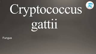 How to pronounce Cryptococcus gattii [upl. by Nahc]