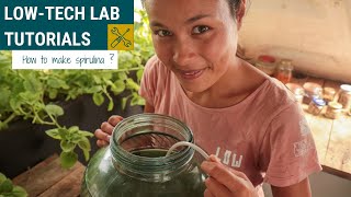 🇫🇷 🇬🇧 How to grow spirulina at home  DIY Tutorial [upl. by Mastic663]