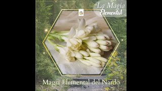 MAGIA ELEMENTAL DEL NARDO [upl. by Geer]