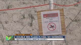 Double red flags flying no swimming [upl. by Wichern628]