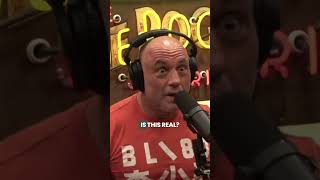 Rogan LOSES IT Over Trump Shooter [upl. by Trey]