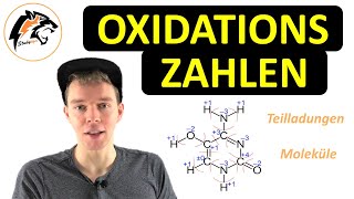 Oxidationszahlen bestimmen  Chemie Tutorial [upl. by Sheppard665]