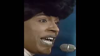 Little Richard  LUCILLE Live 1969 shorts [upl. by Aymik]