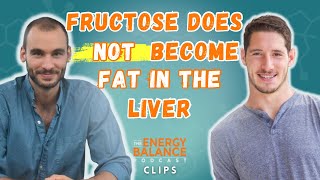 The Research That Shows What Actually Happens To Fructose In The Liver [upl. by Ultann]