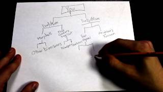 How to make a family tree [upl. by Aneekat]