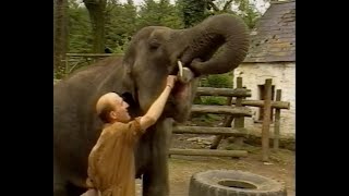 Skanda Vale Elephant – ITV documentary 1988 [upl. by Macomber]