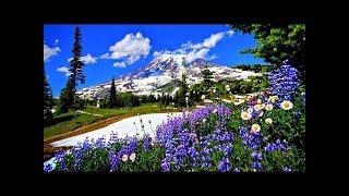 Mount Rainier National Park Episode 1 Nature Documentary Film [upl. by Hnilym544]