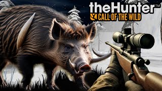 Fighting With Animals Wild Boar  The hunter call of the wild [upl. by Yasdnyl]