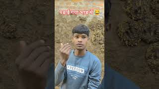 पढ़ाई गया भाड़ में 😂viralvideo realsfool trendingshorts youtubeshorts shortsfeed shorts funny [upl. by Ardnaed]