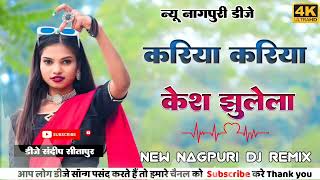 Kariya Kariya Kesh Jhulela  Nitesh Kachhap Teeth Nagpuri Dj Song 2024  new Nagpuri Dj Song [upl. by Naek]