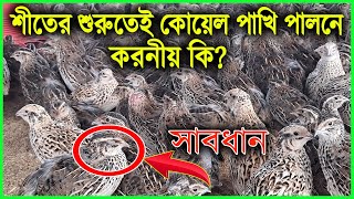 শীতের শুরুতেই কোয়েল পাখি পালনে করণীয় কি  Quail Farming  Koyel pakhi palon [upl. by At]