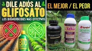 😊Dile Adiós al Glifosato ¿Los Bioherbicidas Más Efectivos [upl. by Arobed]