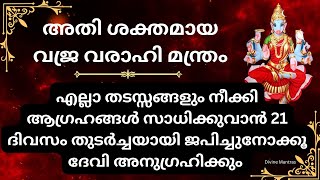 അതിശക്തമായ വജ്ര വരാഹി മന്ത്രംpowerful vajravarahimantra varahi varahimantra divinemantras devi [upl. by Nohsed]