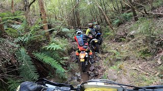 HARD ENDURO CREEK RIDE  IT WAS SUPPOSED TO BE A CRUISY DAY🤦‍♂️😂 [upl. by Brittney132]