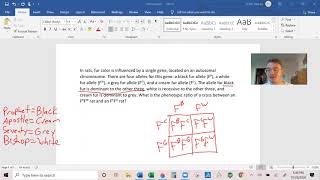 Solving Problems in Mendelian Inheritance Part 4 Blood Typing and Other Complex Variations [upl. by Pas975]