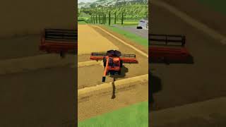 Na roçada do trigo 😜  musicasmtg farmingsimulator22 maquinasagricolas funk remix music [upl. by Ebba]