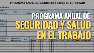 Programa Anual de Seguridad y Salud en el Trabajo [upl. by Aicnelav]