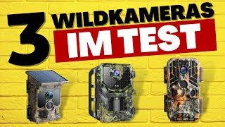 Die BESTEN Wildkameras 2024  TESTSIEGER im Vergleich [upl. by Pepper477]