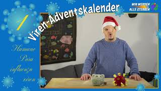 Diese Influenza ist keine Influenza  Adventskalender 01 [upl. by Adian]