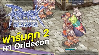 Ragnarok Online Classic GGT EP547  Paladin ฟาร์มคุก2 ตามหา Oridecon [upl. by Damales48]