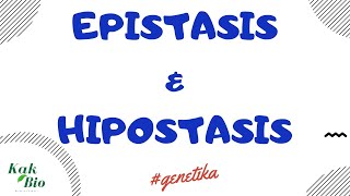 Persilangan Epistasis amp Hipostasis  Penyimpangan Hukum Mendell [upl. by Fee]